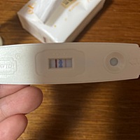 月经还有两天才来，现在应该算是怀孕了吧，前两个月经历了生化，紧张！大家帮忙看看，谢谢！愿大家都好孕