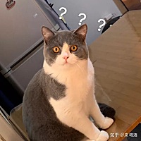 生完宝宝，第三个月跟老公同房，基本上一周一次，但是最近白带一直很不好，买药用了也没用，又跑了一趟...