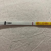 今天有测到灰印，很浅