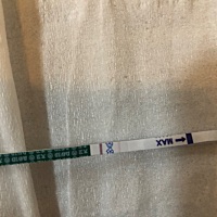 第一次 不会看 请问是怀孕了吗 这是怀孕了吗