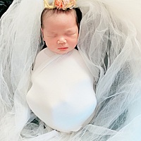 估计黑白颠倒了，夜里1.多才睡，白天睡一天。你们宝宝也这样吗。天天熬夜脑袋疼。这个月子做的，哎，不...