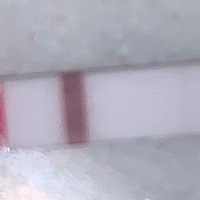 是双杠吗？？