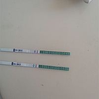 移植囊胚加移植日第七天，，大家帮我看看有没有