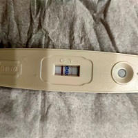 肉眼看得到的粉色，应该是有了吧，明天再去医院抽血化验确认