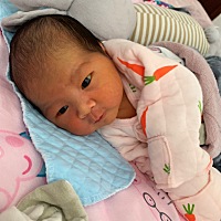 进出产房半小时顺利出生🐣
