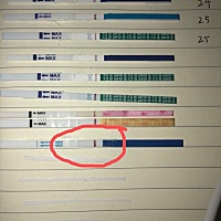 17号月经结束，18号同房，26号测出灰印