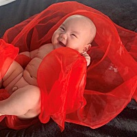 太闹腾…不如肚里揣着方便…哈哈哈哈