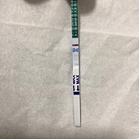 同房15天，是我的意念灰，还是怀孕了
