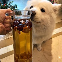 都说女儿是爸爸上辈子的情人，一点都不假，舍不得打舍不得骂，捧在手上爱在心里