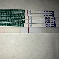 天天大白板还有机会吗，明早侧个可丽蓝
