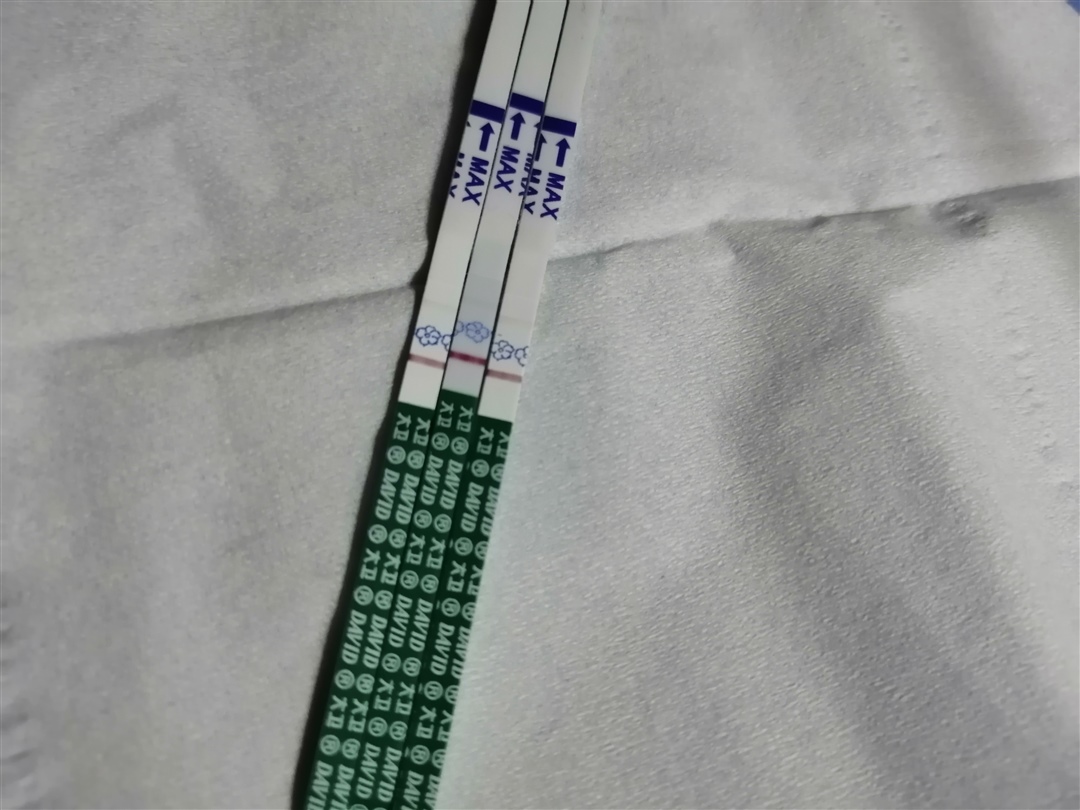 3号