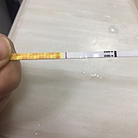 我的宝宝来了吗，害怕试纸有问题，明天继续测，害怕又失望