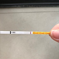 粉色粉色，多久可以去医院检查呢