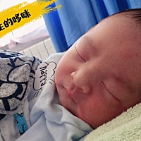 从出生到五个月的哆咪