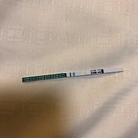 月经12月12，排卵日31号。前后都有安排，还有三天姨妈期，没忍住测了一下，白板，我还有希望吗