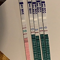 起先是因为已经进入安全期，但是排卵测出来强阳。 就拿了早孕试纸试了下，发现竟然真的有杠。连着测了三...