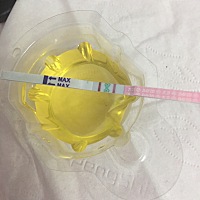 #问题求助#11月28号来的月经，到现在一直没来，肚子涨涨的，1月8号左右有用验孕试纸测过，只有1条线，之...
