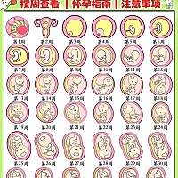 ✨以下都是干货，在孕期的宝妈或开始备孕的宝妈认真阅读一下，会有帮助哒，育儿路上不迷茫，不要错过孕...