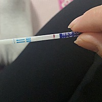 上个月28号生化了，然后再次去医院确证流干净了，吃叶酸安排同房，隔几天一次，然后美柚显示13号左右排...