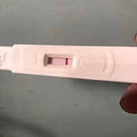 同房14天后，是不是失败了