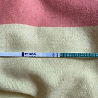 12月31号次月经了