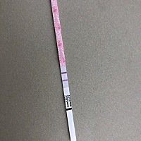 app显示10号排卵，9号安排了同房，27号测的。这是怀孕了么？