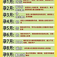孕妈须知｜超全怀孕1-10月营养补充指南 🌟怀孕1个月 营养补充：叶酸 叶酸作用：预防早产、贫血、胎儿...