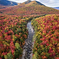 预产期已经过了4天了，结果还没走动静
