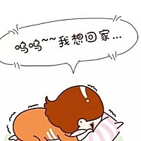 之前看到papi酱说她们夫妻过年是各回各家，我还挺羡慕的。因为我是河北嫁江苏，也是很远的。之前一直都...