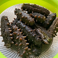 当然需要了，我用自身怀孕的亲身经历，告诉大家，孕期吃海参可以提高宝宝的抵抗力，我儿子就很壮，另外...