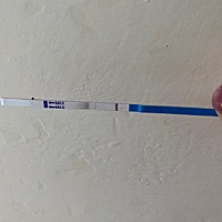 这是怀孕了吗？还是自带的灰印，求评论
