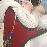 之前是发烧咳嗽   去输液现在不发烧了  只有咳嗽了  可是咳嗽这东西一直好不了  我请问一下有什么能吃的...