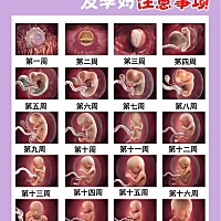 怀孕40周胎儿发育变化及孕妈注意事项 没怀孕之前觉得怀孕是件简单的事～，就是肚子一天天的变大，然后等...