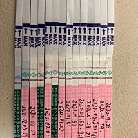 19号——23的月经期，29的排卵期，但是好像没出现强阳，有怀孕的可能吗