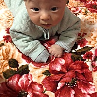 三个月啦，不知道有没有拖后腿