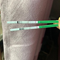 第一次试这个不是很懂 ，