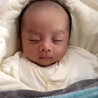 吃了睡、睡了吃