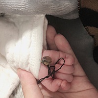 唯一和妈妈血脉相连的脐带掉了，你是和妈妈共用过一个心脏的人，祝我的女孩顺风顺水，扶摇直上[爱心]