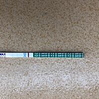 是怀了吗？