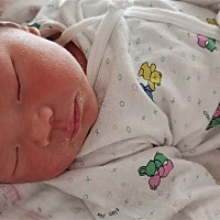 明天出院喽二胎，39 4剖，比老大时恢复快，就是排瘀不顺，医生护士轮流压肚子，那个酸爽，全程没找关系...