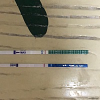 都忘记上个月姨妈时间了。和朋友同天来。这个月推迟了快10天了，还是白板。肚子微疼，屁多。体热。有同...