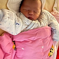 一个婴儿能有啥坏心思。但是他能让你熬夜思考人生[打脸]。吃最早的早餐[鄙视][鄙视]