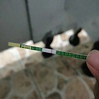 这个是没有吧