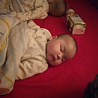 只有等娃睡了才有一点自己的悠闲时间，带两个真的太辛苦了，双胞胎真是个神奇宝贝，什么都是一起的，连...