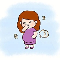 1⃣放屁和排泄物变臭 女性怀孕后，身体的激素分泌也在很大程度上发生了变化，而这又会对身体产生很大的...