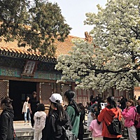 备孕🀄️ 上个月25号来例假 这个月26号了还没来 也不敢测是不是有了 怕有失望 这几天白天总想睡觉 小...
