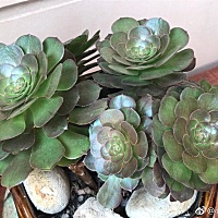 就是这样，当你有权的时候一大堆人马首是瞻，当你没了时，分分钟变脸，这种落差真大，一个个变脸比火箭...