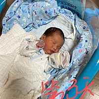 提前了18天来看妈妈咯😊