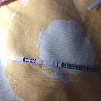 是不是怀孕了