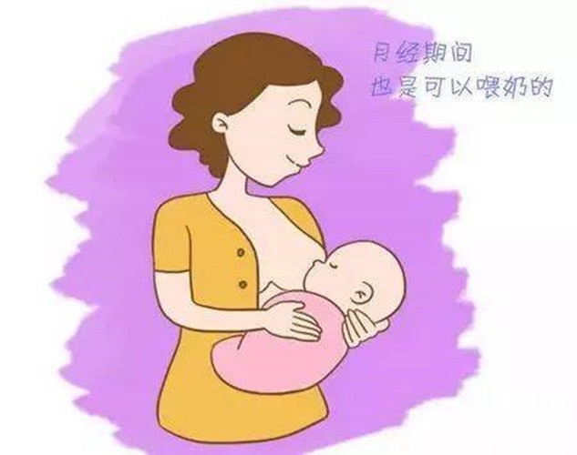 3、来月经后就不能喂奶了?
正常情况下，产后11天至4个月母乳质量最好。月经来潮后，乳汁比平日浓缩，所含脂肪减少，蛋白质增多，这种乳汁对宝宝并无害处。为了避免乳汁浓缩和成分改变，宝妈在月经期可多喝点开水，多吃些鱼类、牛奶和菜汤等。